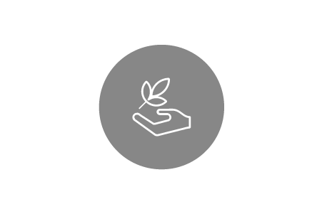 icon of someone's hand holding a leaf